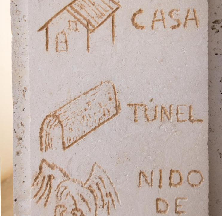 Photo of Others in Alcala del Jucar