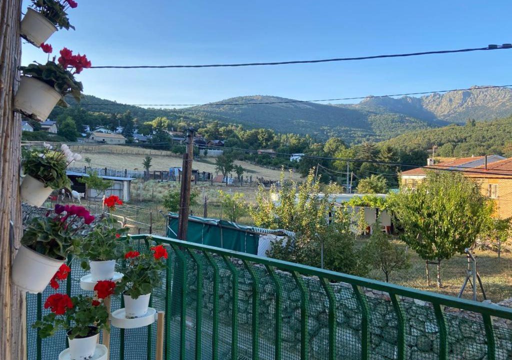 Photo of Others in Cercedilla