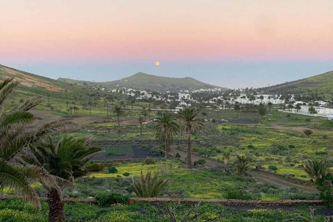 Photo of Others in Haria