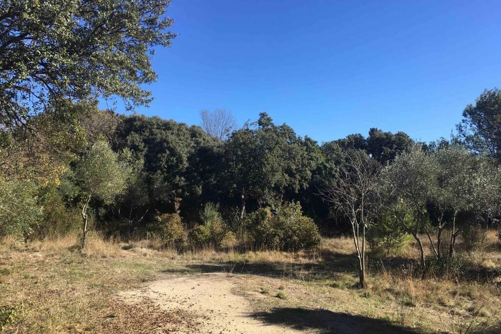 Photo of Outdoor in Les 3 Ponts