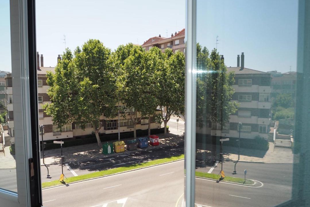 Photo of Others in Zamora
