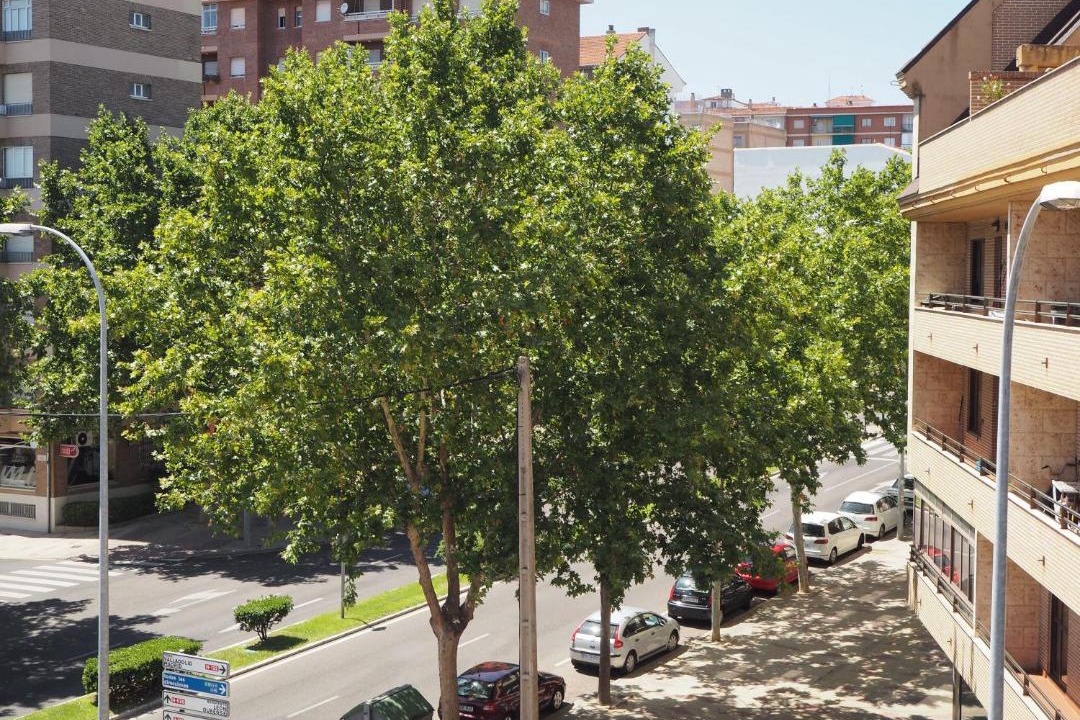 Photo of Others in Zamora
