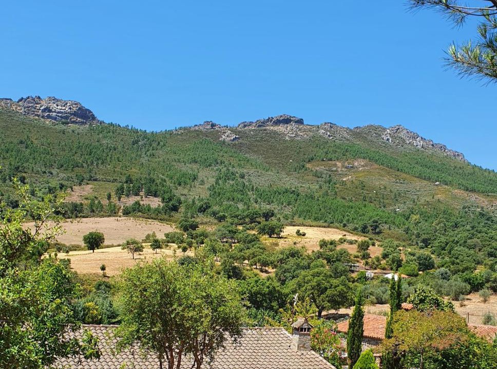 Photo of Others in La Acena de la Borrega