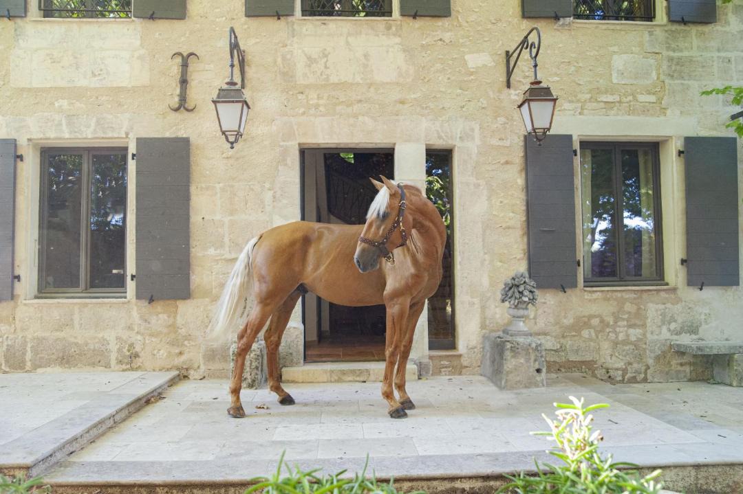 Photo of Others in Paradou