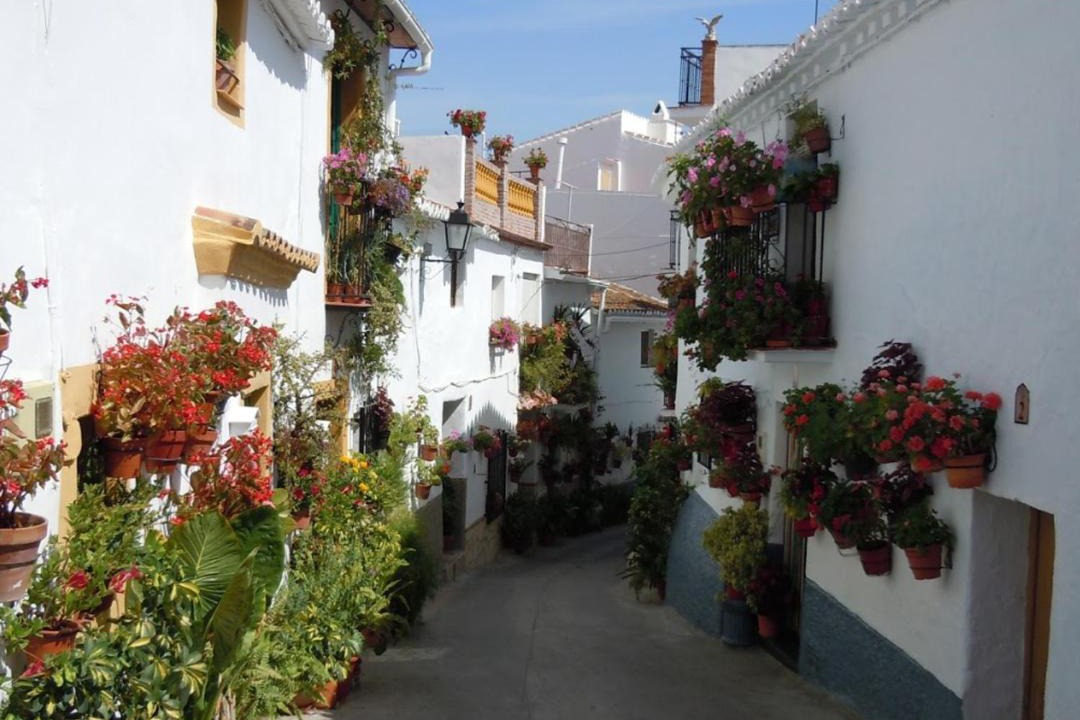 Photo of Others in Portugalejo