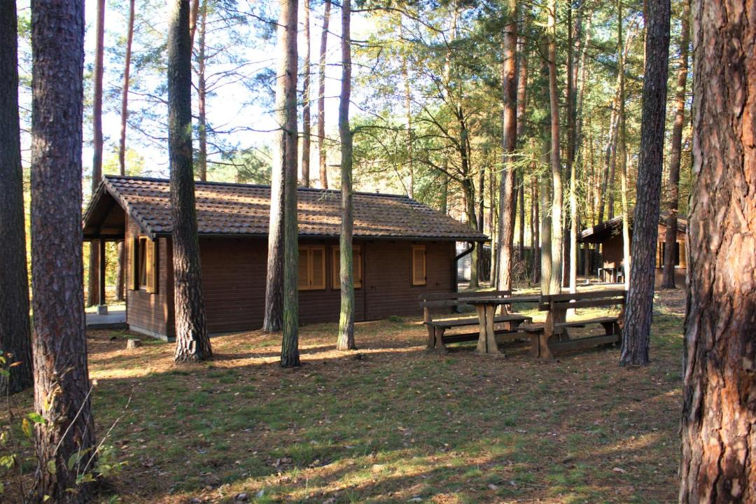 Photo of Buildings in Colbitz