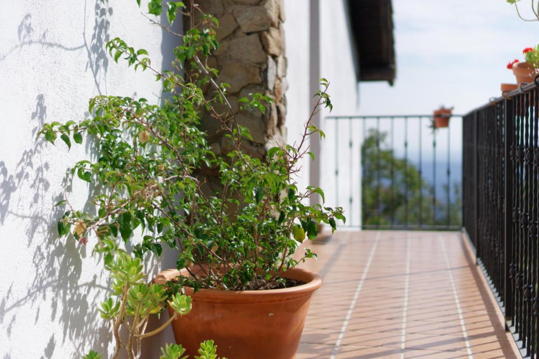 Photo of Patio Balcony in Arenas de San Pedro