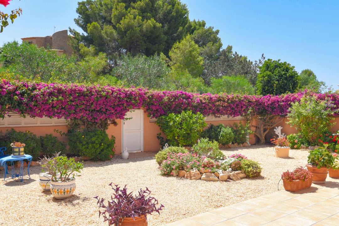 Photo of Others in Casas de Torrat
