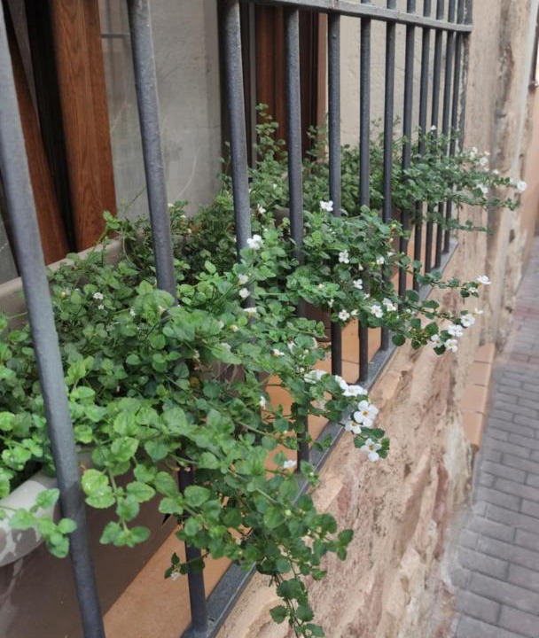 Photo of Buildings in Molina de Aragon
