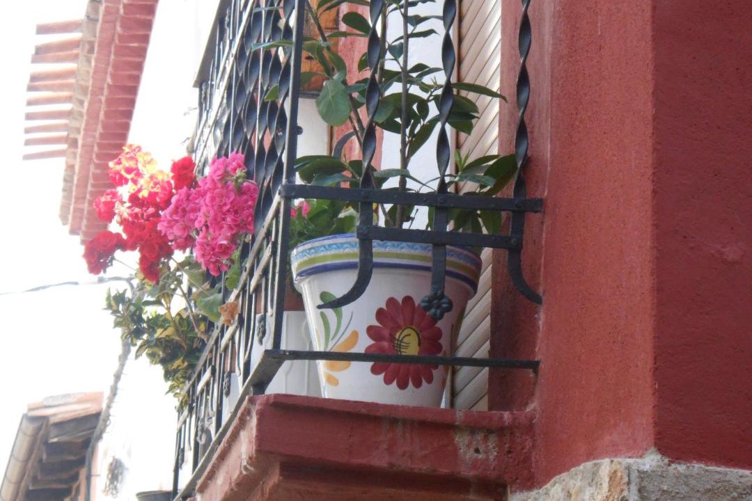 Photo of Others in El Cuervo