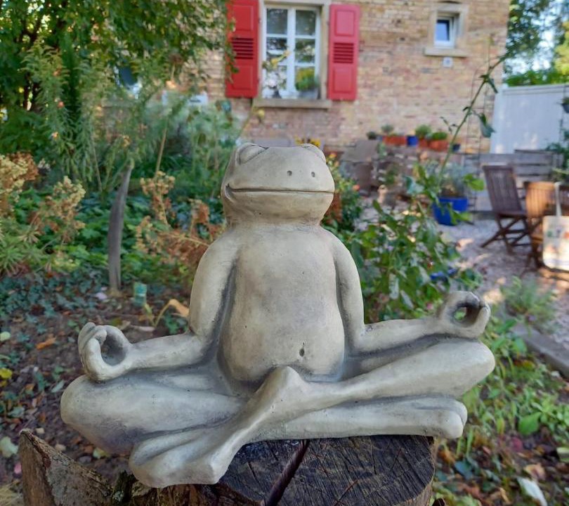 Photo of Others in Armsheim