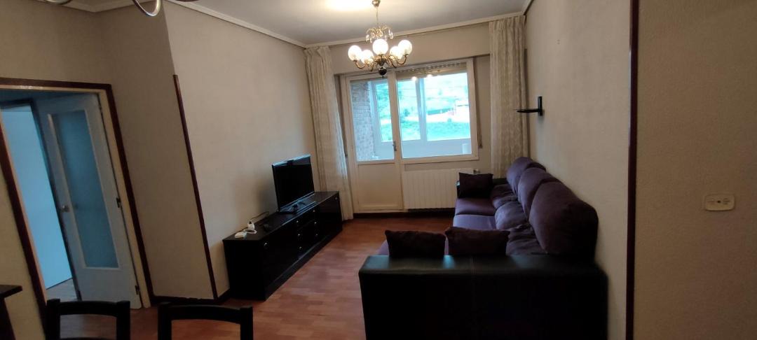 Photo of Livingroom in Ibarrekolanda