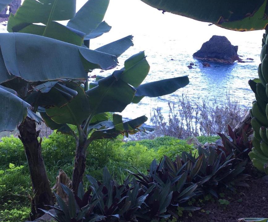 Photo of Outdoor in Las Aguas