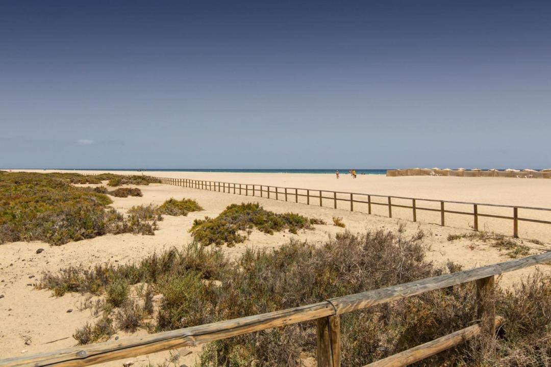 Photo of Others in Solana del Matorral