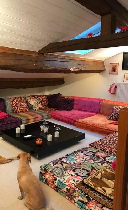 Photo of Livingroom in Courmangoux