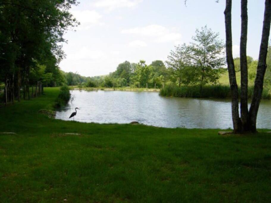 Photo of Outdoor in Courmangoux