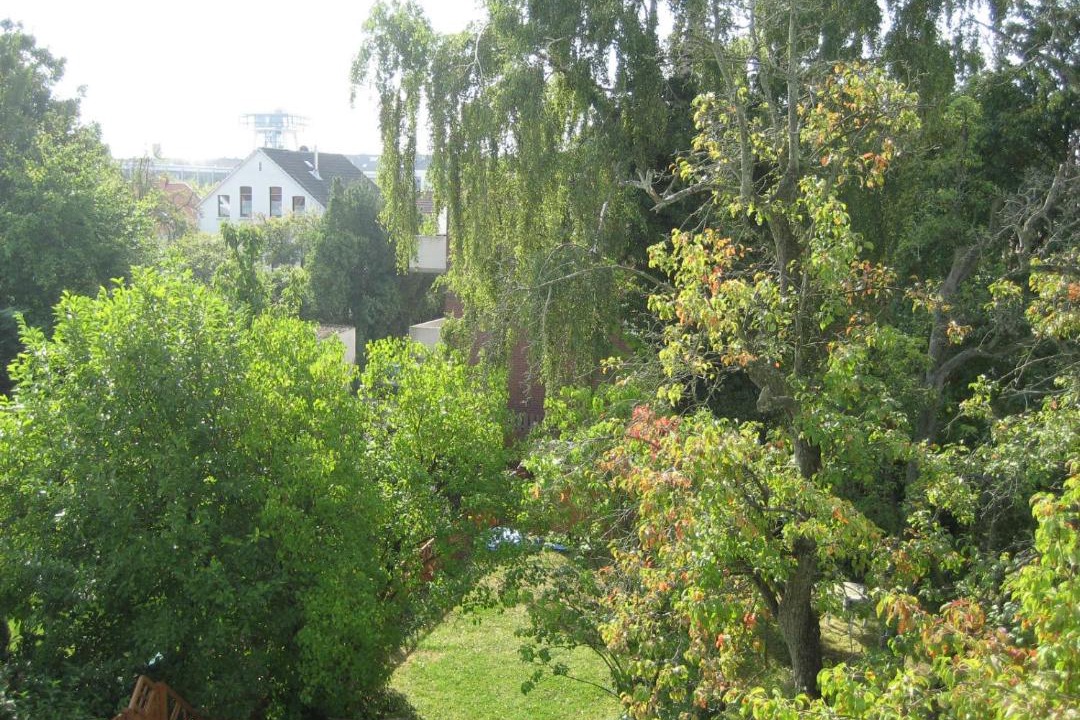 Photo of Others in Haarenesch