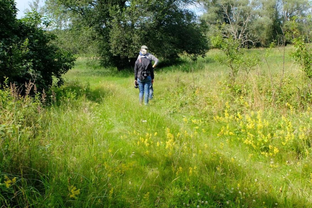 Photo of Others in Strodehne