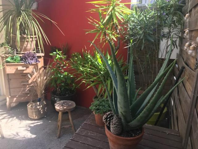 Photo of Patio Balcony in Port Marianne