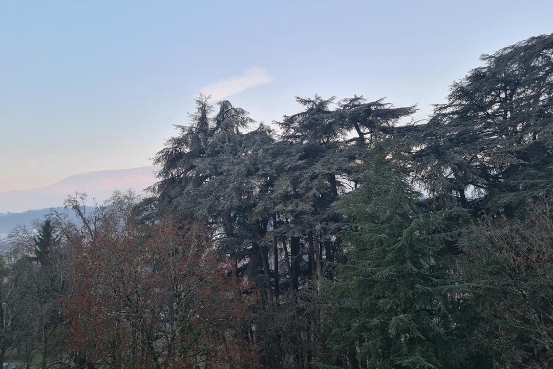 Photo of Outdoor in Aix-les-Bains City Center