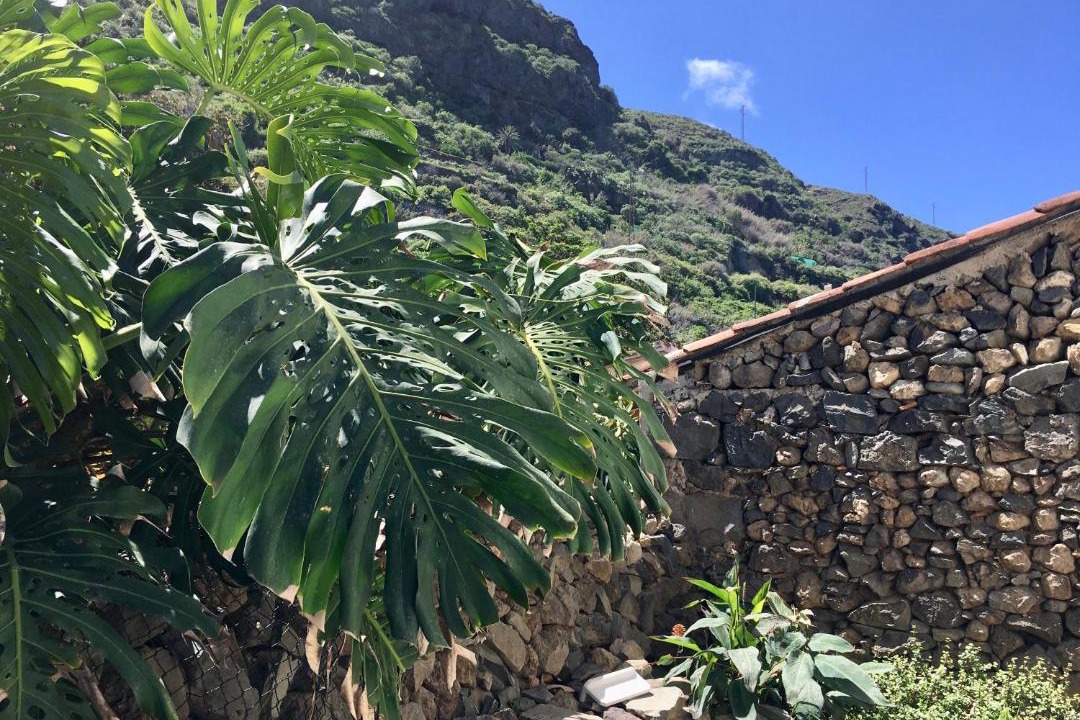 Photo of Buildings in Las Aguas