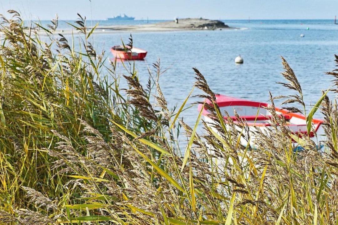 Photo of Others in Wendtorfer Strand