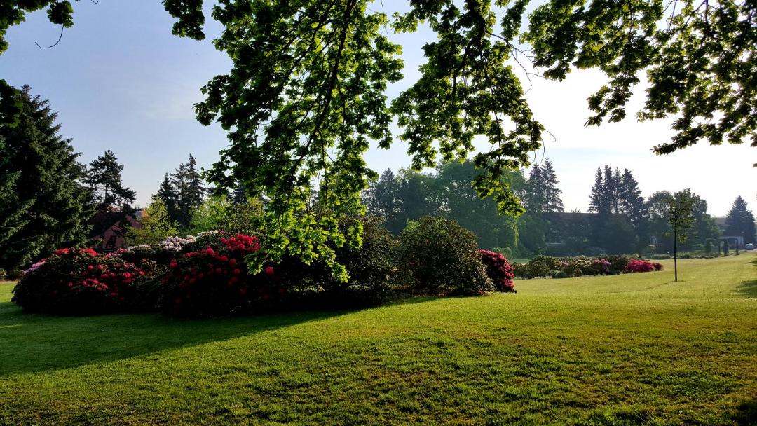 Photo of Outdoor in Pruhonice