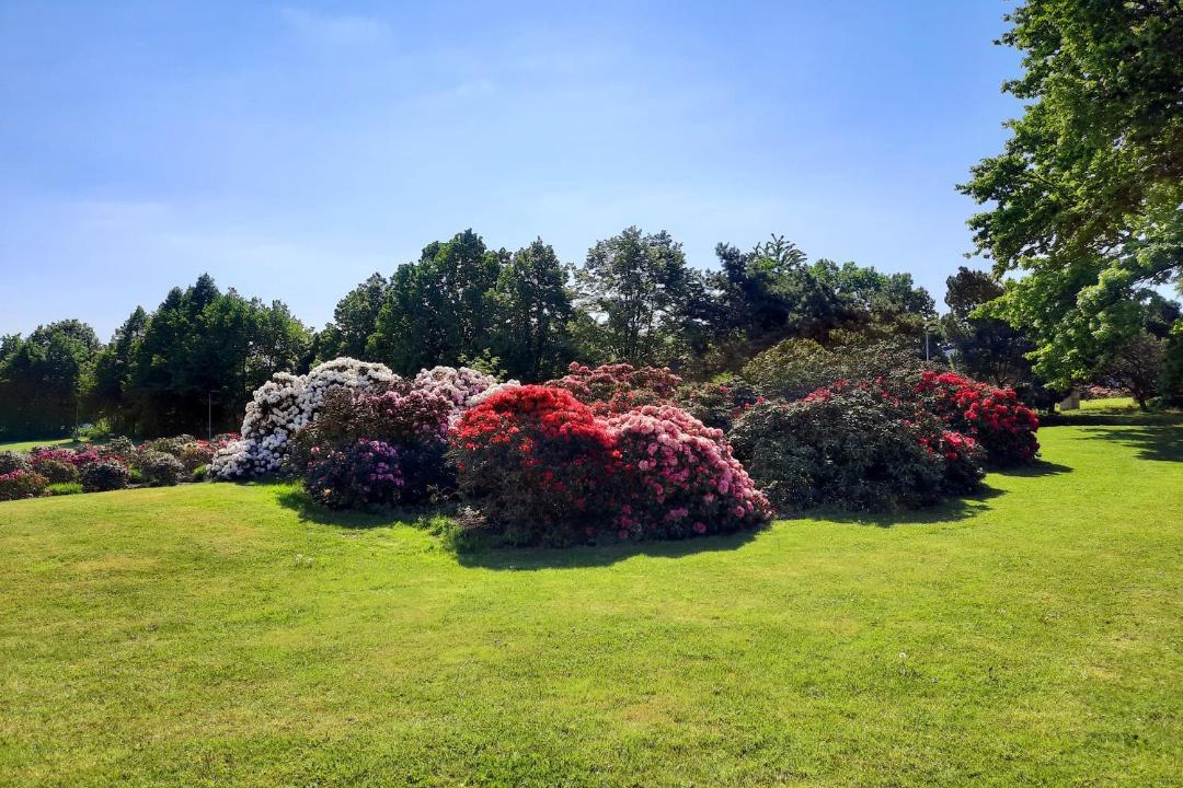 Photo of Outdoor in Pruhonice