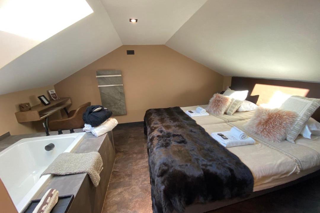 Photo of Bedroom in Montriond