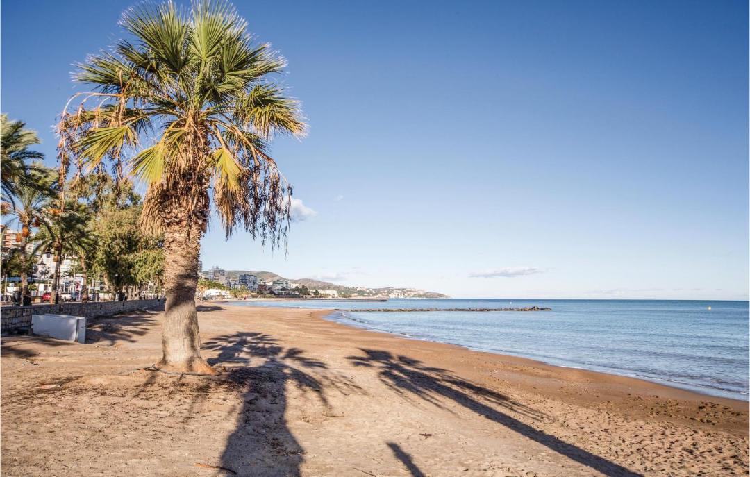Photo of Others in Benicassim