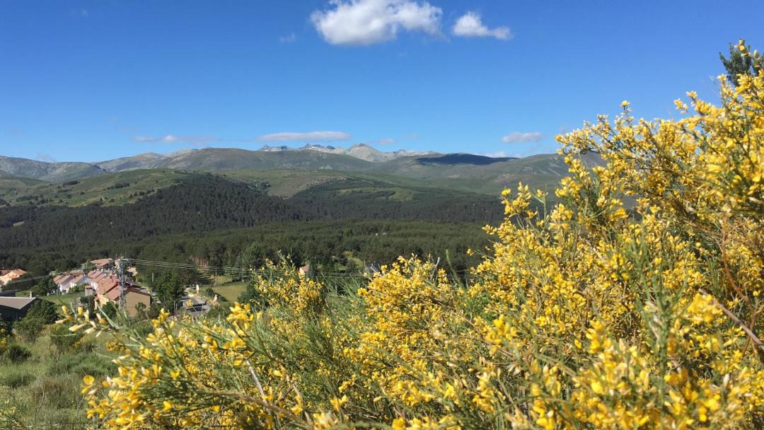 Photo of Others in Navarredonda de Gredos