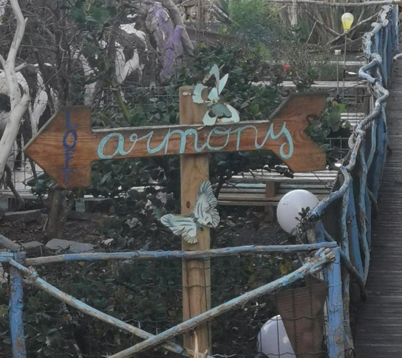 Photo of Others in Villaverde
