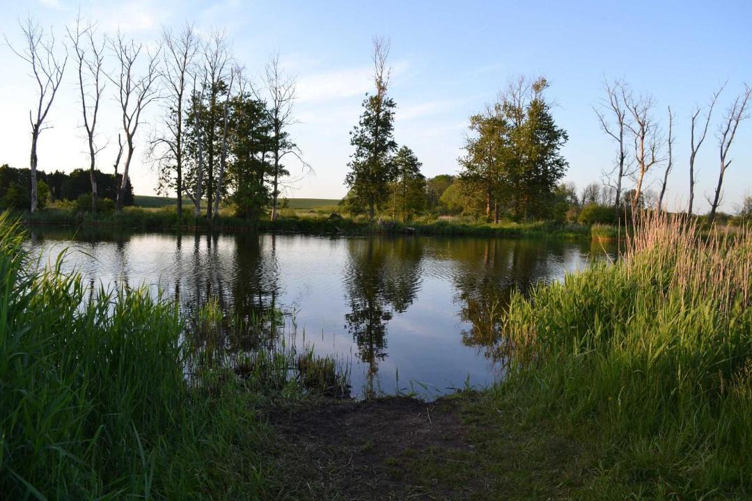 Photo of Others in Bentzin