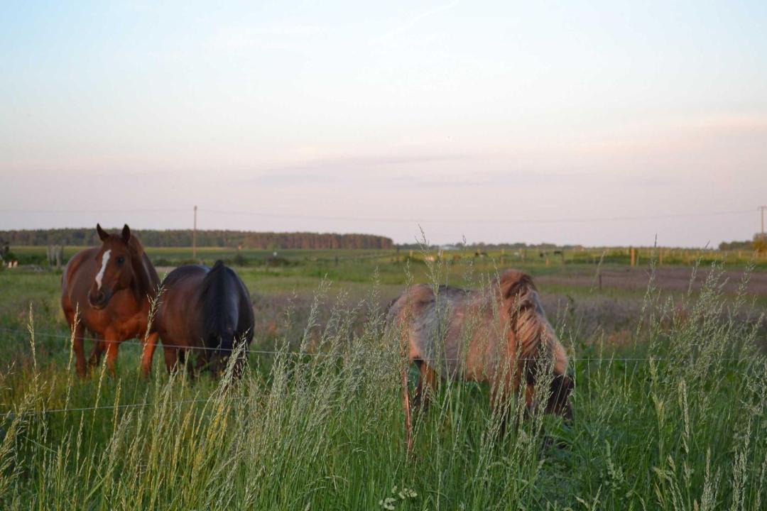 Photo of Others in Bentzin