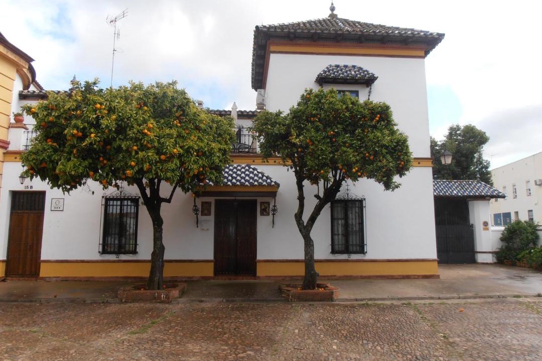 Photo of Buildings in Jerez de los Caballeros