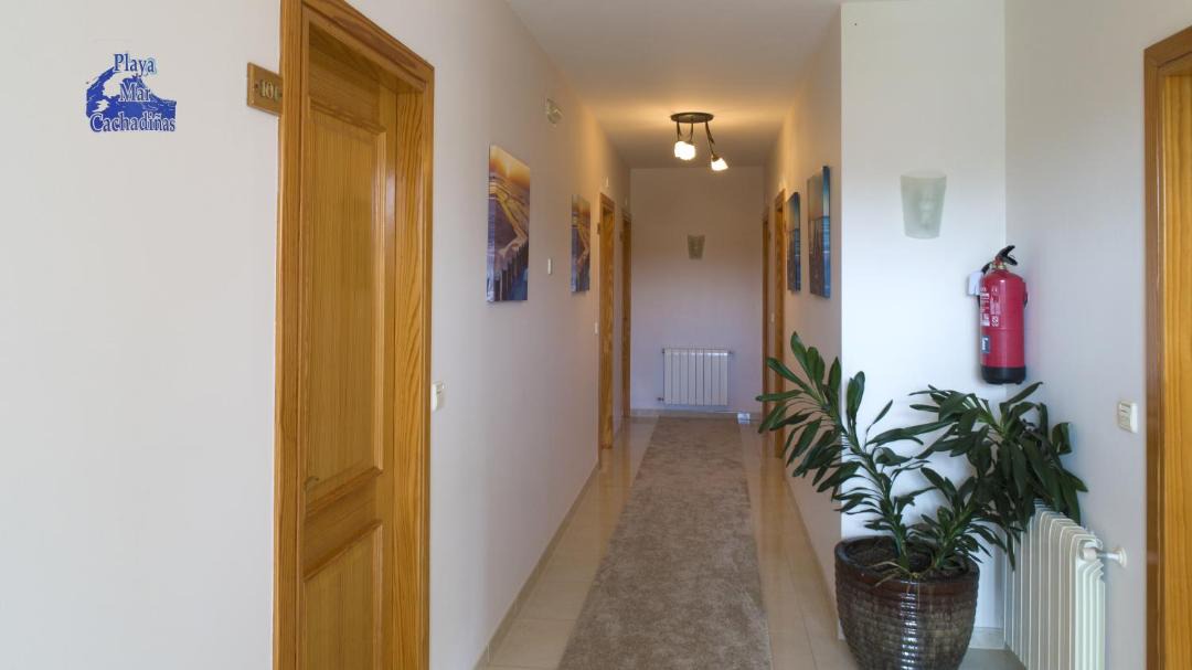 Photo of Others in Balea