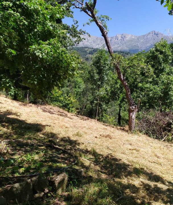 Photo of Outdoor in El Hornillo