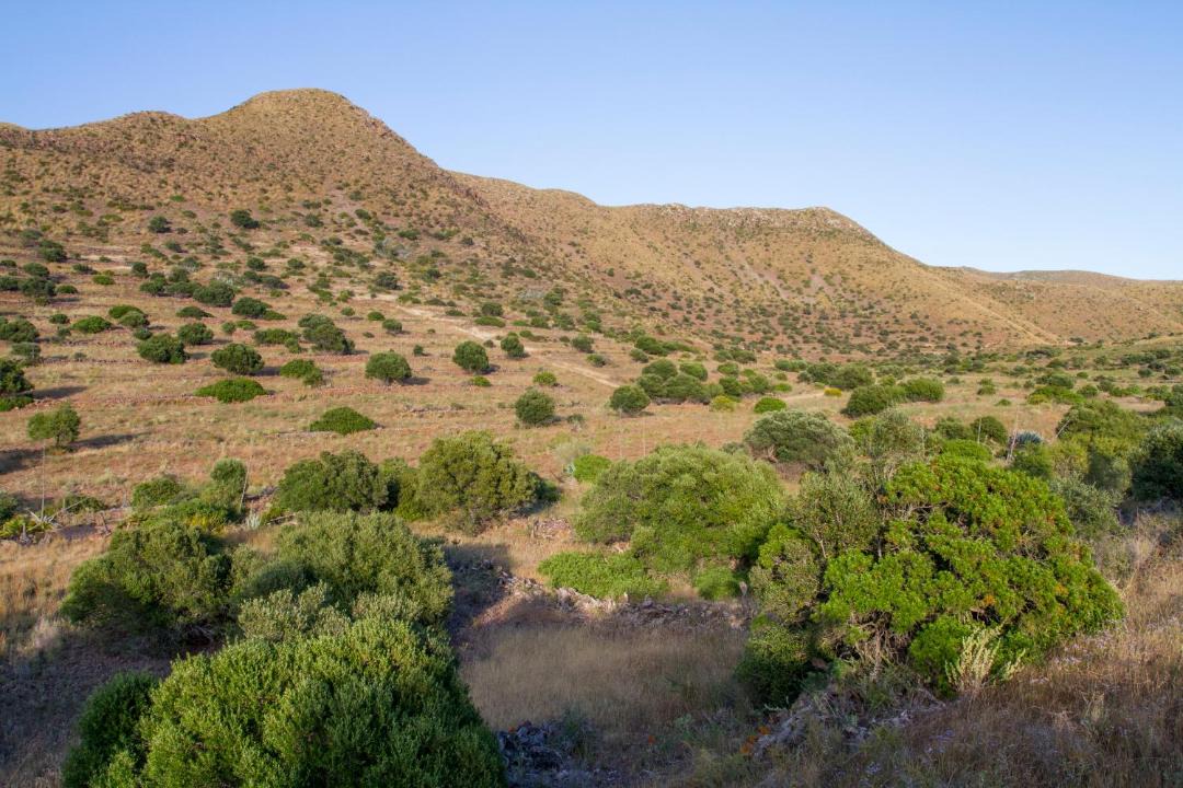 Photo of Others in Los Albaricoques