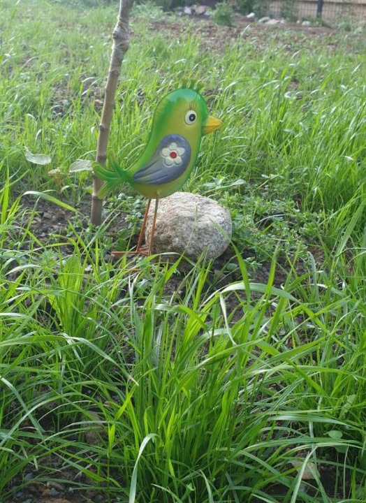 Photo of Others in Thale