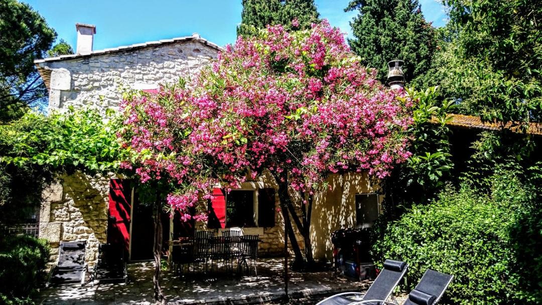 Photo of Others in Tarascon