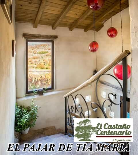 Photo of Others in Casas del Castanar