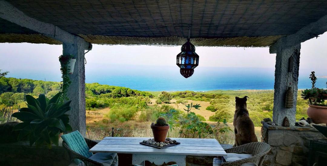 Photo of Others in Bolonia