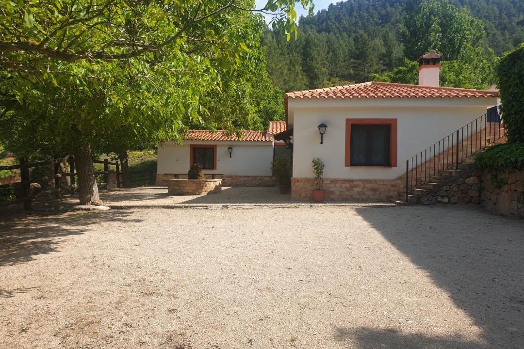 Photo of Others in Bogarra
