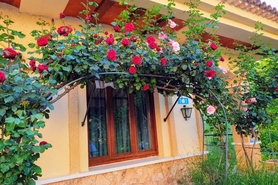 Photo of Buildings in Riomadera
