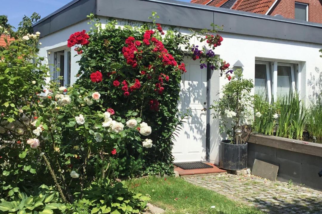 Photo of Others in Neustadt in Holstein