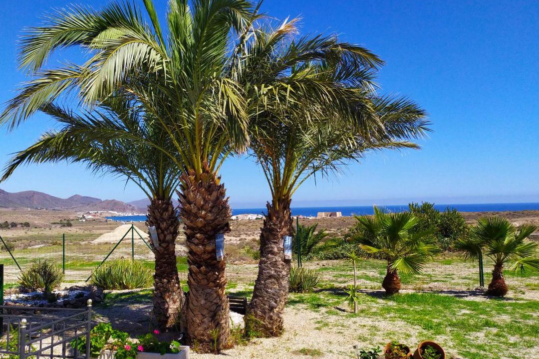 Photo of Outdoor in Los Escullos