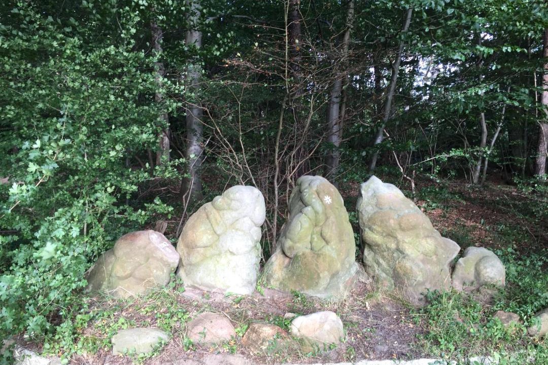 Photo of Others in Helmstedt