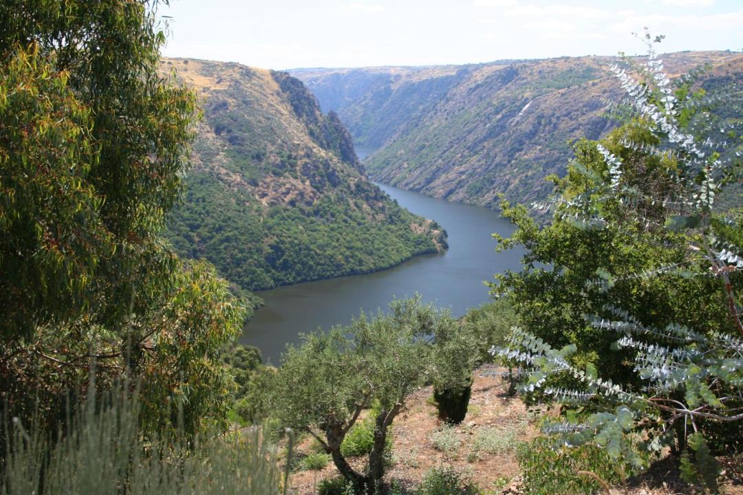 Photo of Outdoor in Aldeadavila de la Ribera
