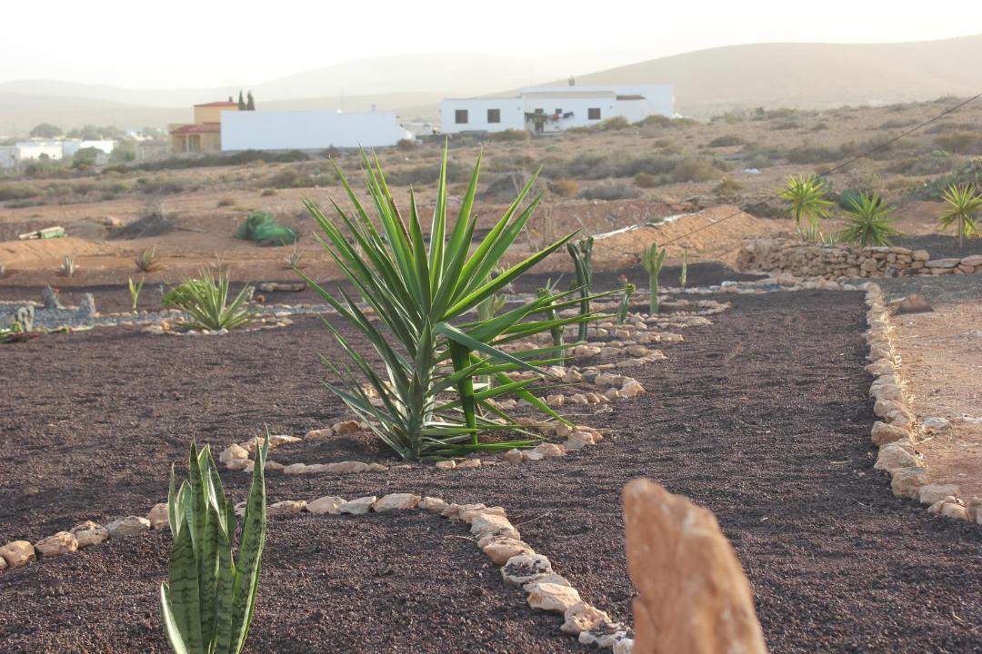 Photo of Others in Llanos de la Concepcion