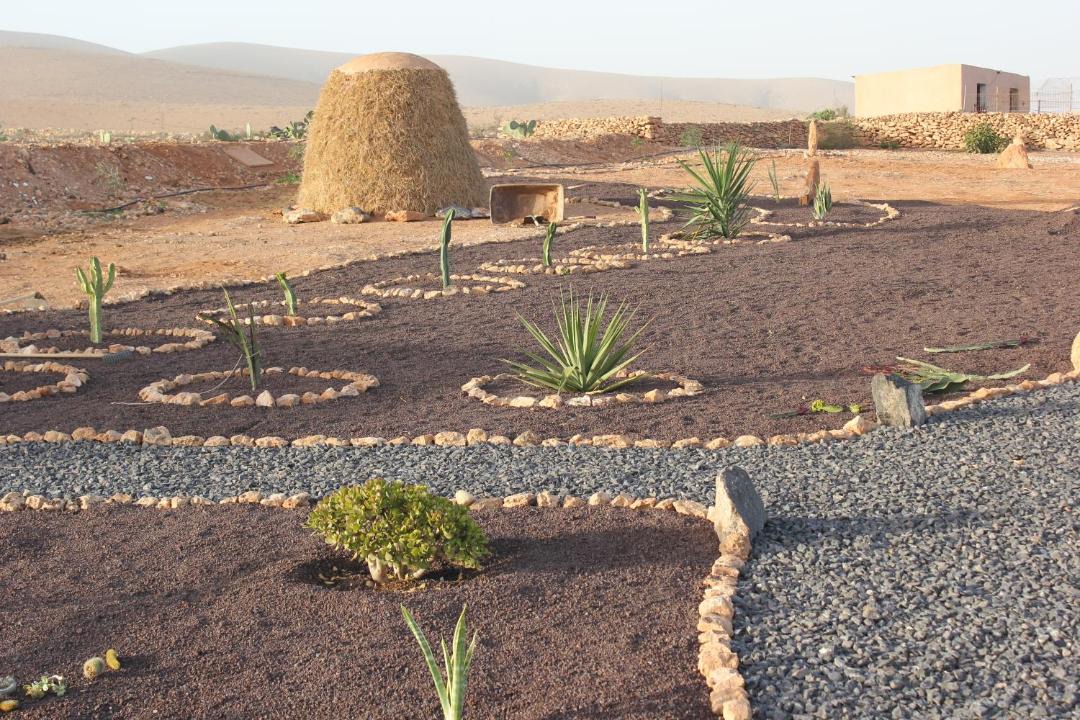 Photo of Others in Llanos de la Concepcion
